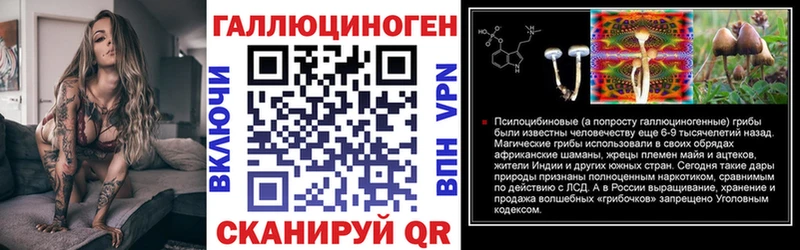 Купить где  Кстово  Псилоцибиновые грибы Cubensis 